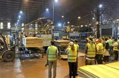 Forestadora Tapebicuá: “Los obreros empezaron a cobrar y el trabajo está garantizado”