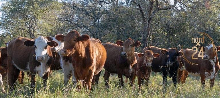 Roldán: “El campo vive un buen momento, pero necesita estabilidad para crecer” 