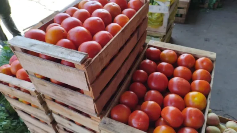 Verdulerías: subieron el precio del tomate y la lechuga
