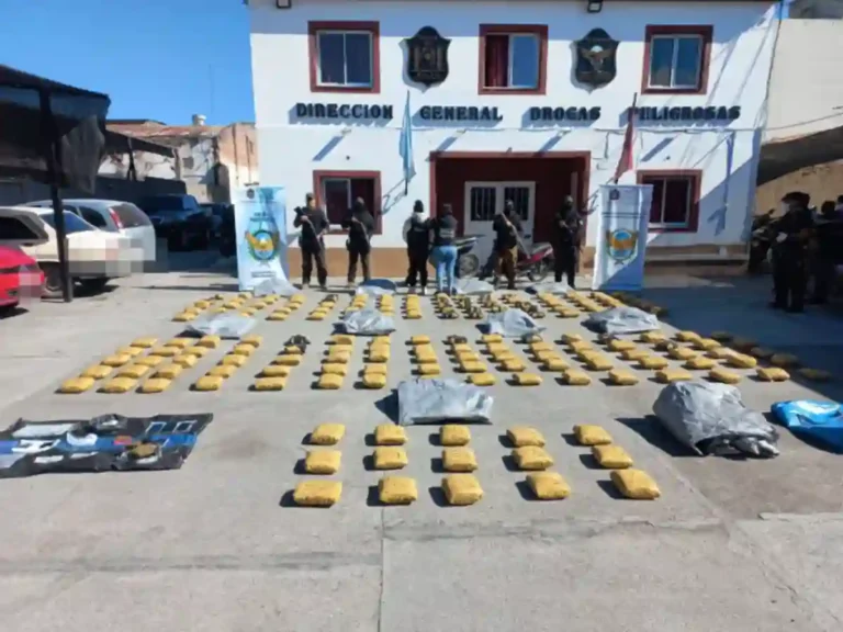 Secuestran más de 200 kilos de droga en un operativo en Salta