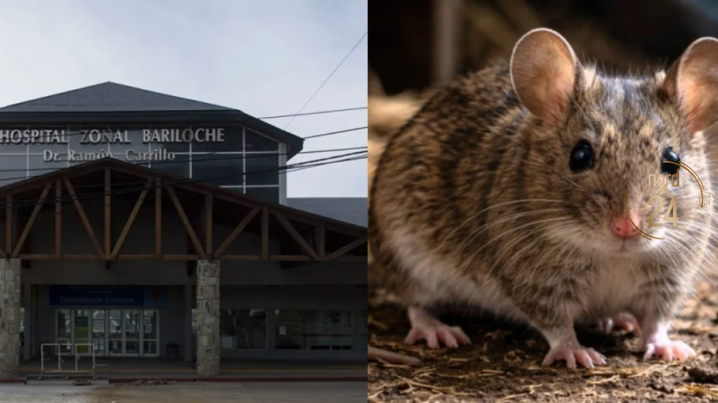Falleció una mujer a causa del hantavirus en Bariloche