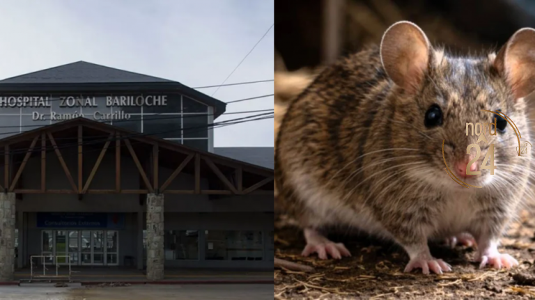 Falleció una mujer a causa del hantavirus en Bariloche
