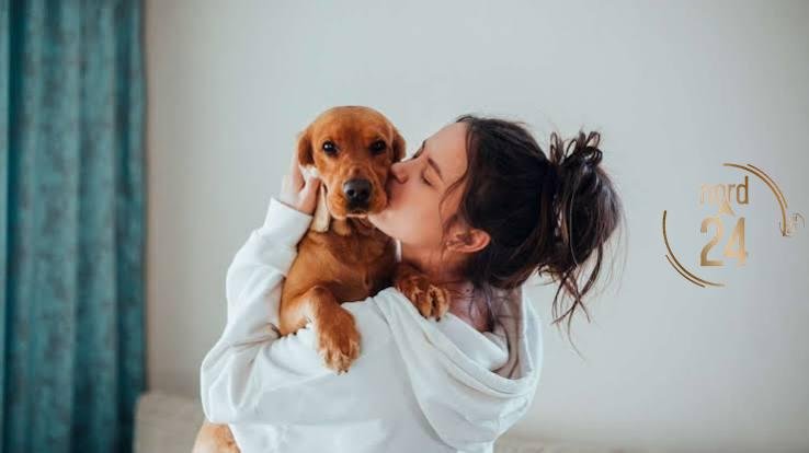 Veterinario advierte sobre enfermedades que las mascotas pueden transmitir a las personas