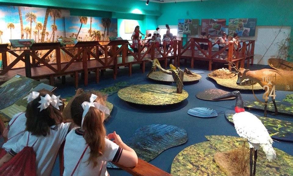 “Iberá, Celeste y Blanco”: La propuesta que busca fortalecer la identidad de los niños correntinos