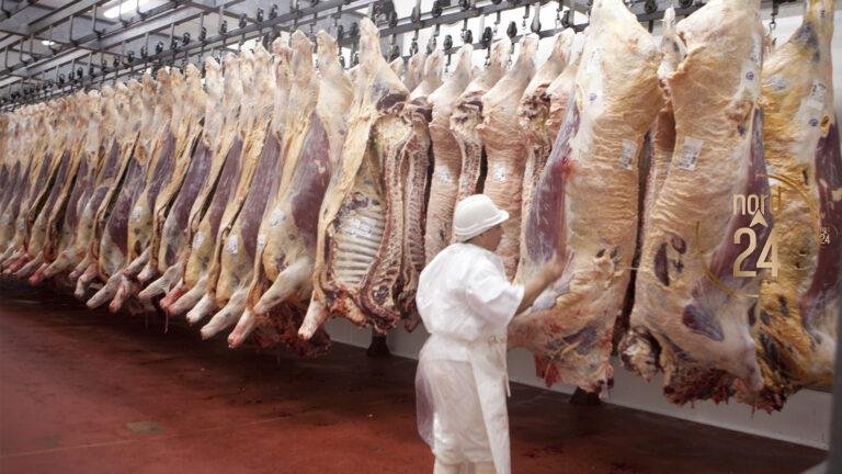 El mercado de la carne mantiene precios firmes pese a una baja en el valor de la hacienda 