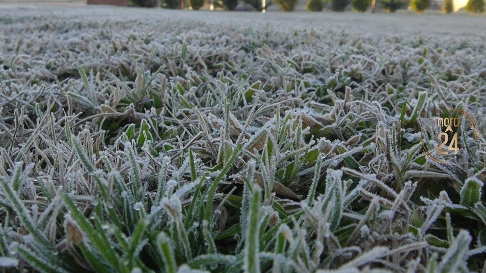 Corrientes: Heladas agrometeorológicas y bajas temperaturas en 18 localidades