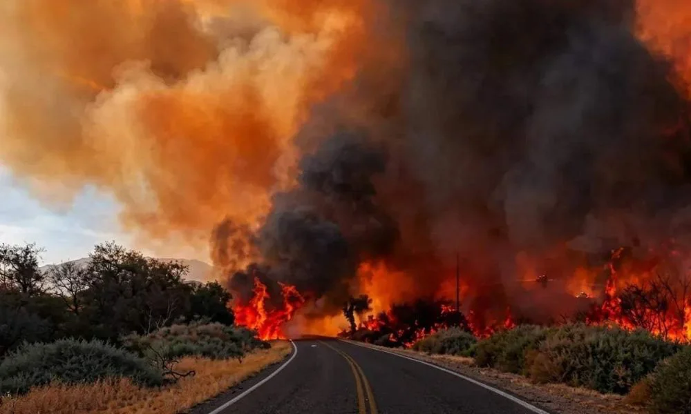 Buscan dar con los responsables de los incendios en Cafayate