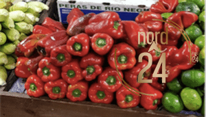Producción hortícola: advierten aumento en el precio final del tomate y baja del pimiento por sobreoferta  
