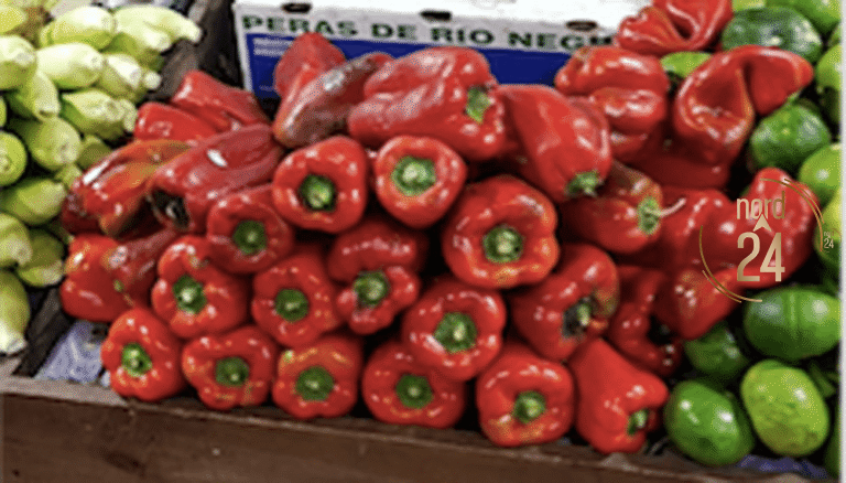 Producción hortícola: advierten aumento en el precio final del tomate y baja del pimiento por sobreoferta  