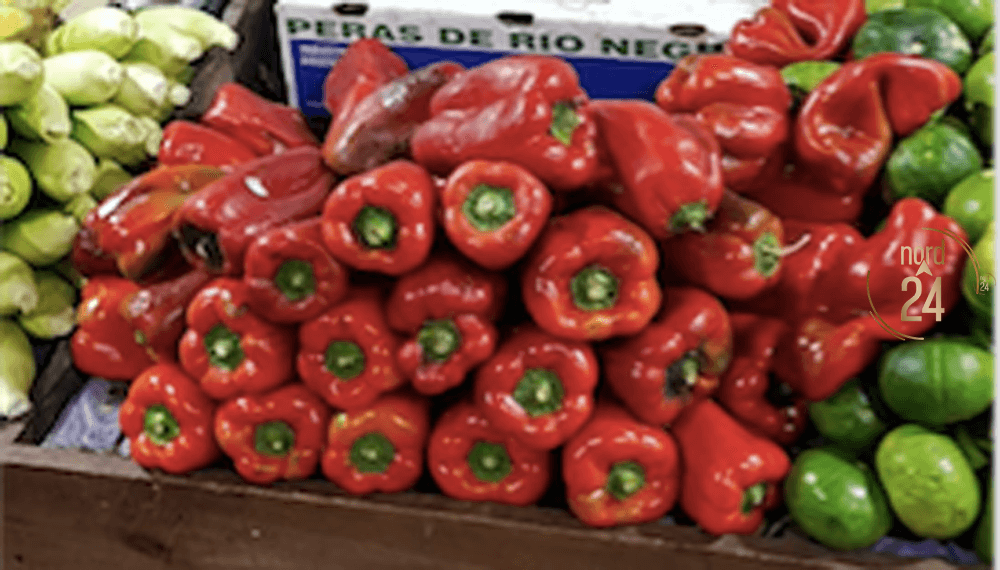 Producción hortícola: advierten aumento en el precio final del tomate y baja del pimiento por sobreoferta