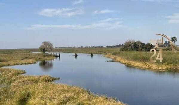 Ley de Tierras: Advierten cambios en la compra de campos y cuerpos de agua