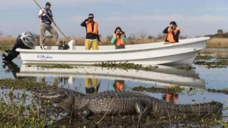 El Iberá llegó al 80% de ocupación en vacaciones de invierno 