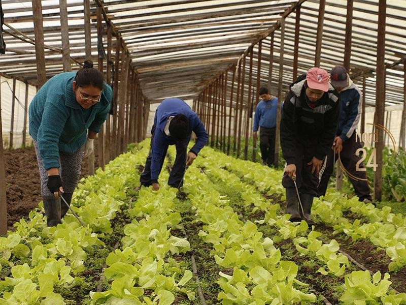 Destacan la diversificación como clave para el desarrollo rural