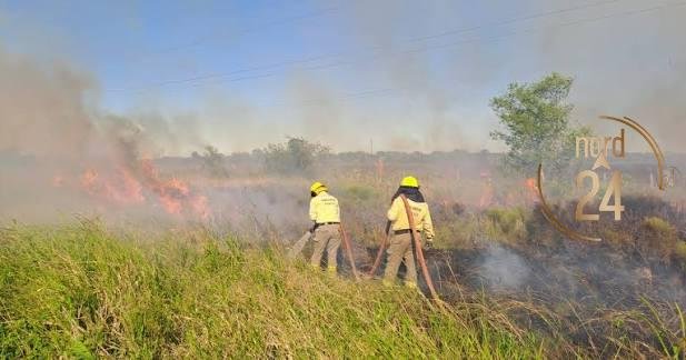 Bomberos: Seis de cada siete salidas diarias son por incendios de pastizales