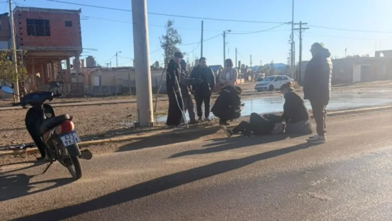 Analizan restos óseos encontrados en un contenedor en Neuquén