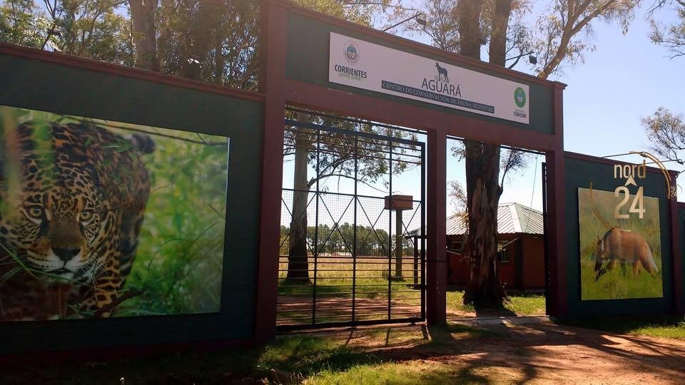 Centro Aguará: Buscan voluntarios para cuidar y rehabilitar fauna silvestre