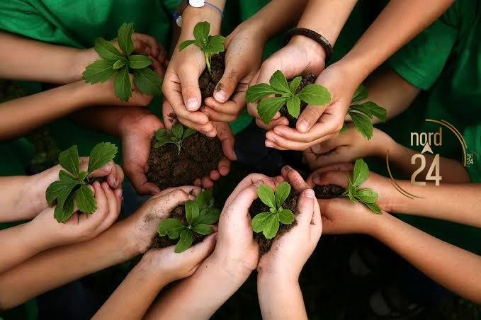 Ley de Educación Medioambiental: ¿Cómo se aplica en todas las áreas y niveles?