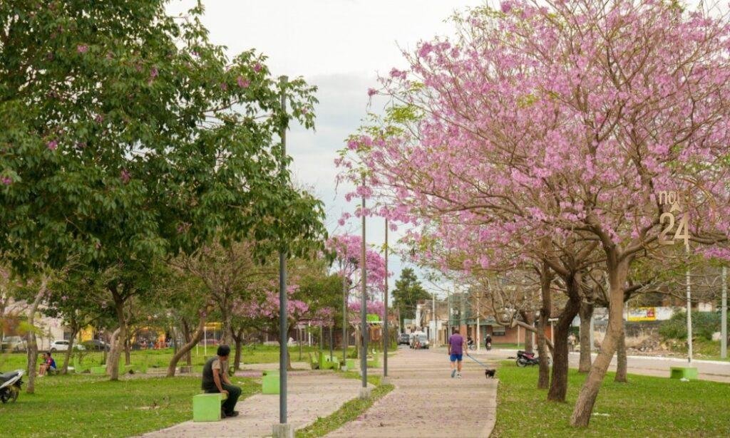“La ciudad que queremos florece”: lanzan un concurso de fotografía móvil
