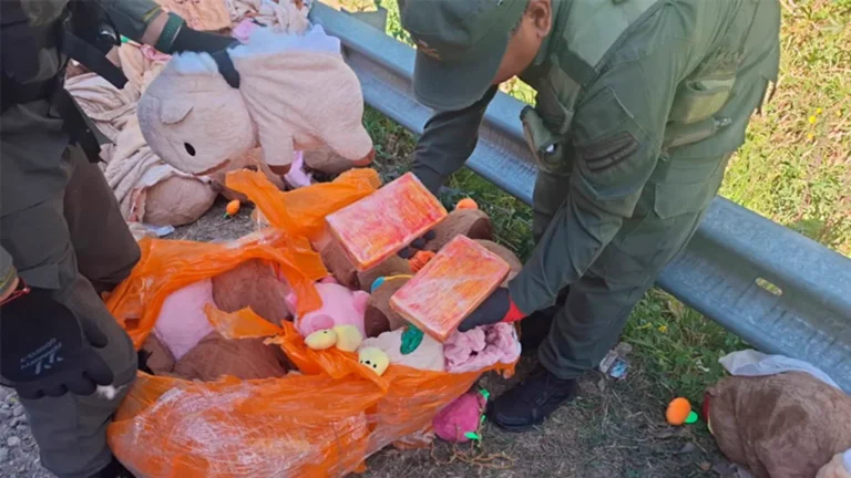 Decomisan cocaína y marihuana en capibaras de peluche en Catamarca