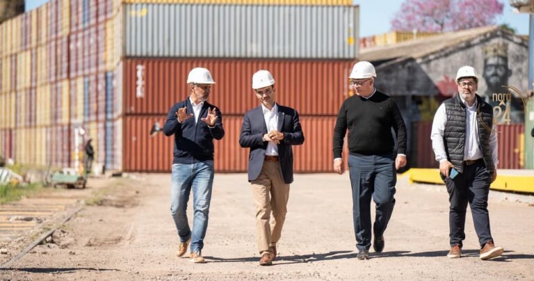 Virasoro: Avanza la instalación de la primera planta de madera CLT del país