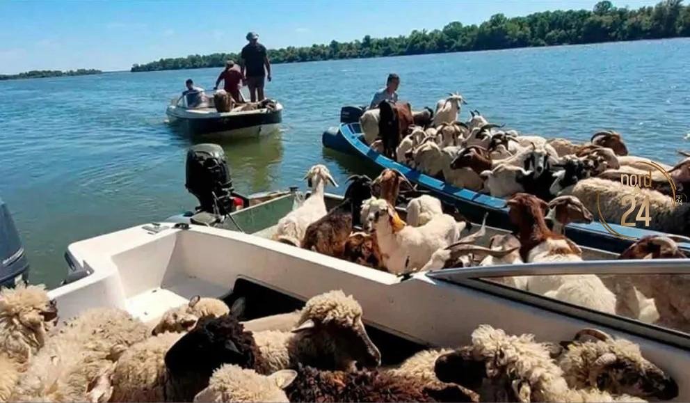 La crecida del Paraná deja unos 62 evacuados en Isla Apipé 