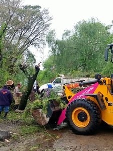 Tormenta en Curuzú Cuatiá: cayeron techos, postes y cables 