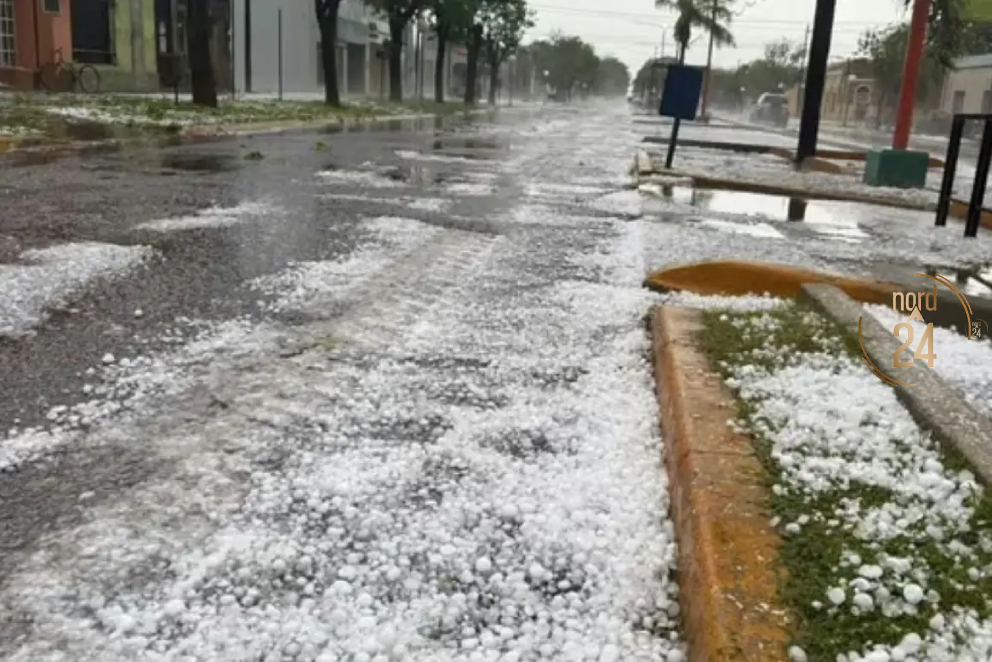Clases suspendidas y animales muertos por fuerte granizada en Santa Fe