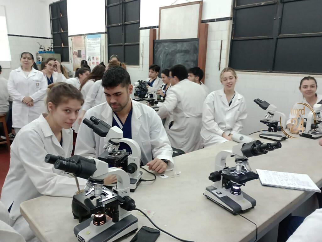 La Sociedad de Anatomía Patológica elegirá nuevas autoridades